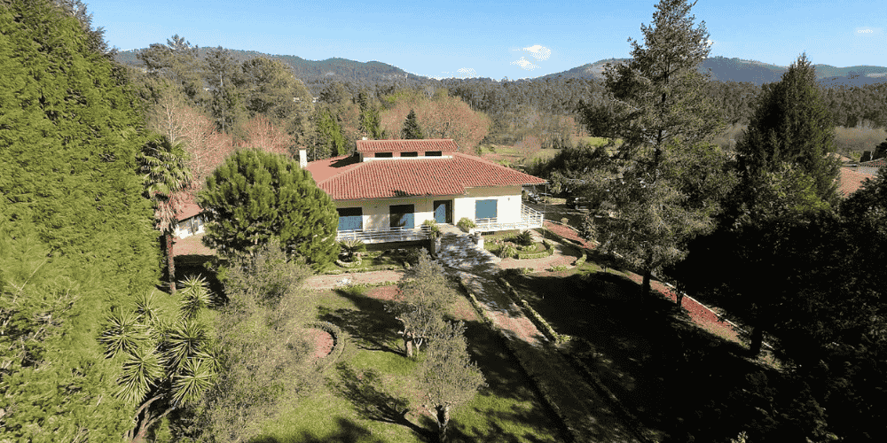 Design sem nome - 2025-08-29T135109.876