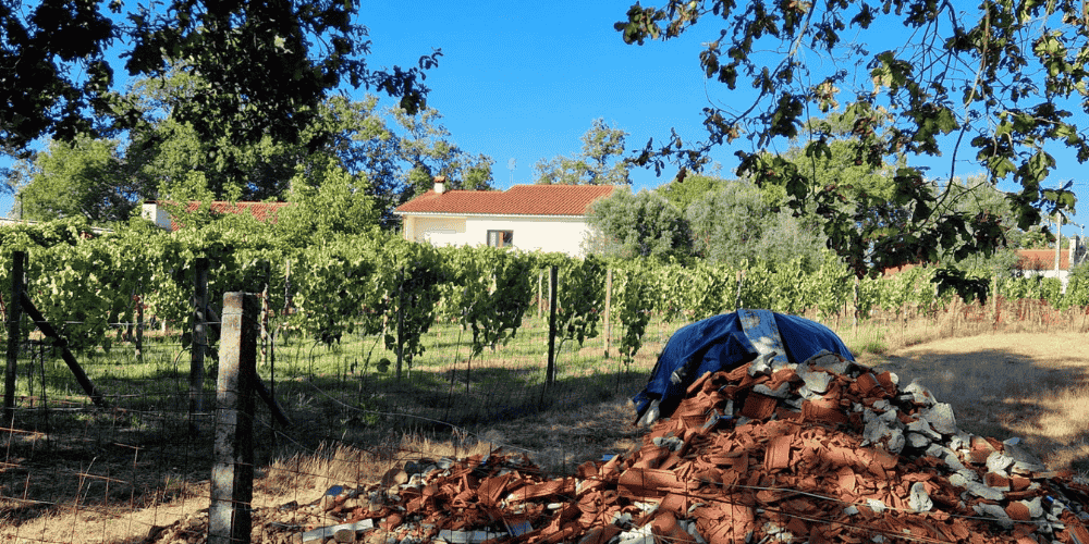 Design sem nome - 2025-08-31T193725.849