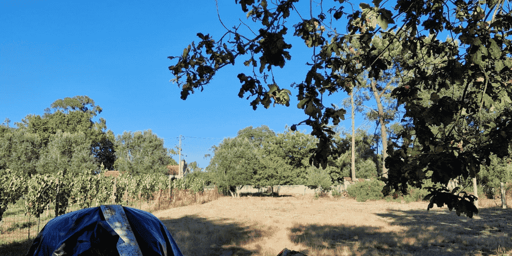 Design sem nome - 2025-08-31T193834.400