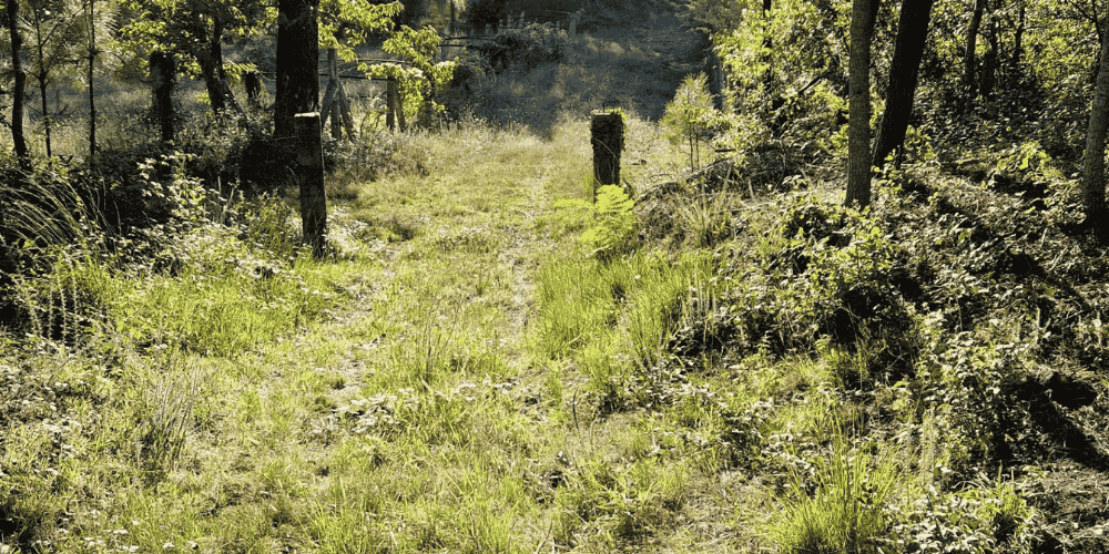 Design sem nome - 2025-08-31T193958.201