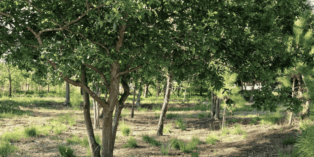 Design sem nome - 2025-08-31T194426.541