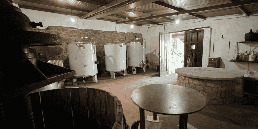 Design sem nome - 2025-09-01T165556.863