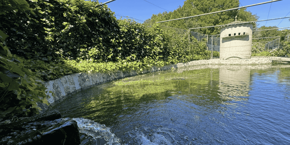 Design sem nome - 2025-09-01T170736.661