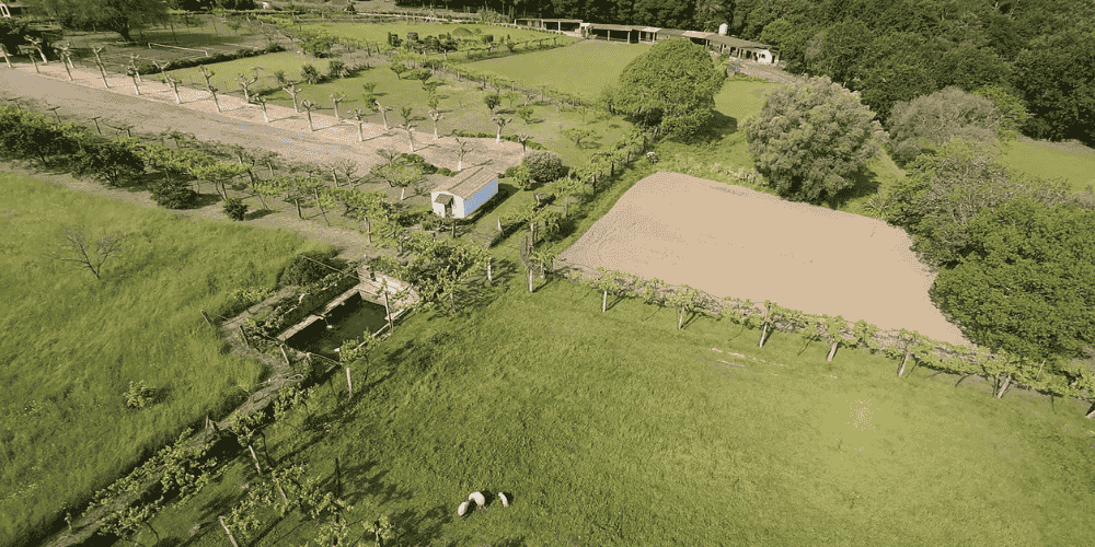 Design sem nome - 2025-09-01T212927.565