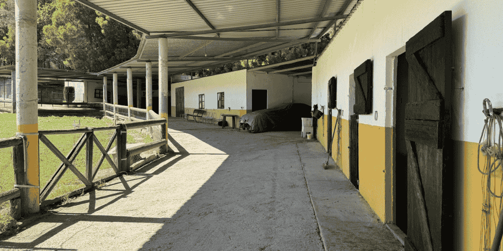 Design sem nome - 2025-09-01T213224.551