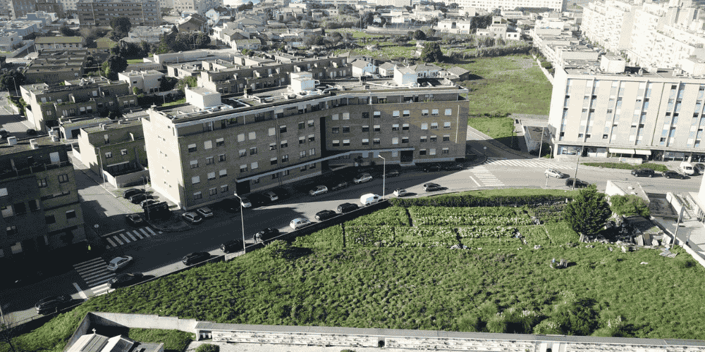 Design sem nome - 2025-09-02T093518.005