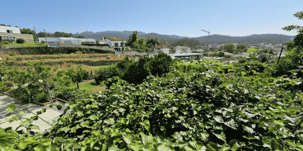 Design sem nome - 2025-09-02T111516.310