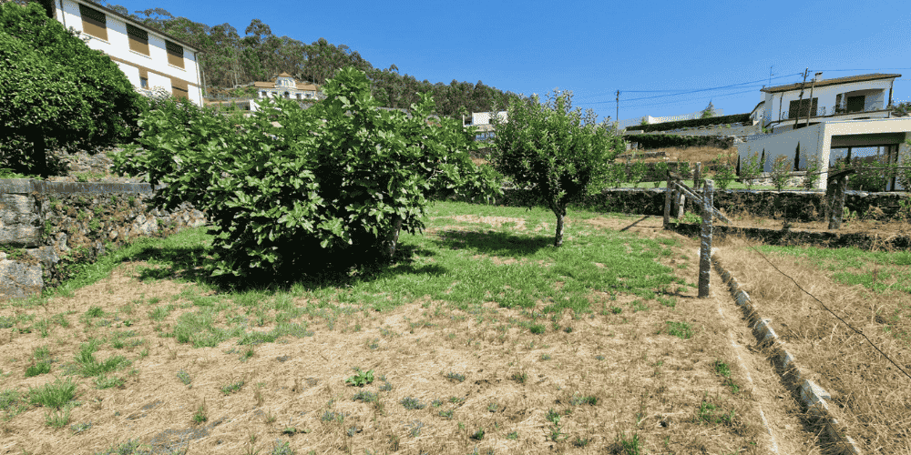 Design sem nome - 2025-09-02T111615.834