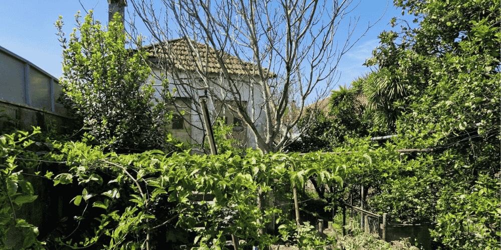 Design sem nome - 2025-09-03T101859.066