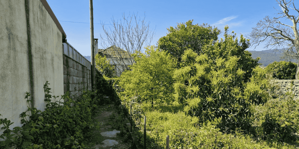 Design sem nome - 2025-09-03T102049.712