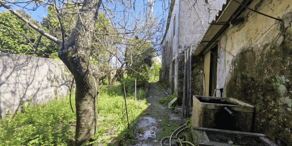 Design sem nome - 2025-09-03T102310.390