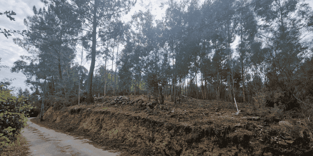 Design sem nome - 2025-09-03T103454.289