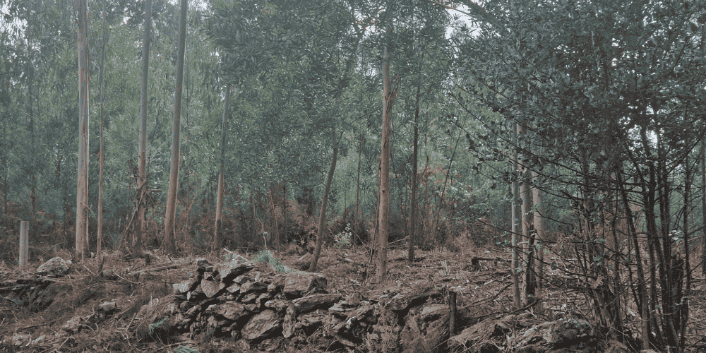 Design sem nome - 2025-09-03T103550.527