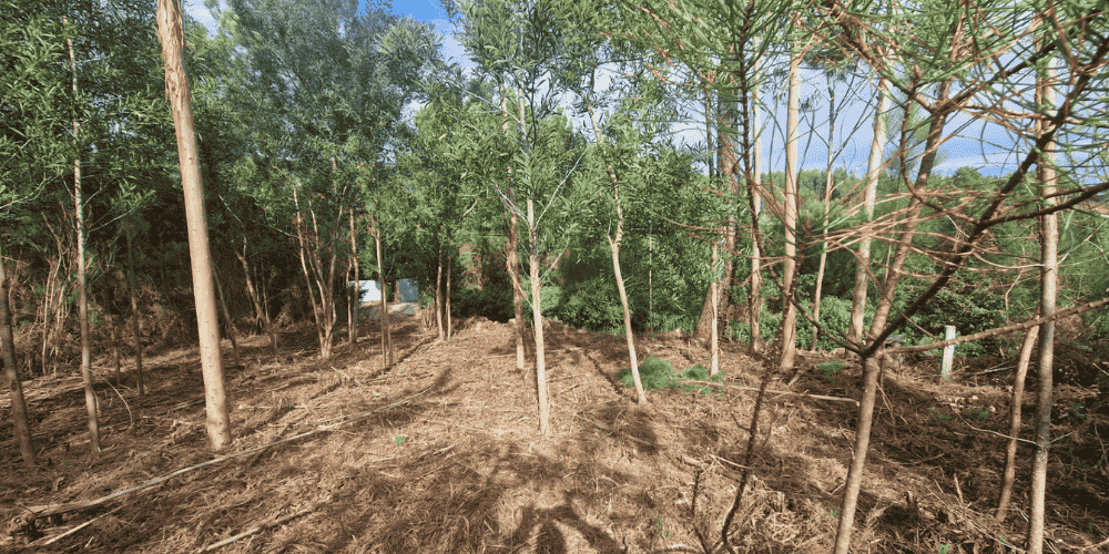 Design sem nome - 2025-09-03T103716.648