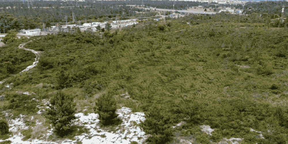 Design sem nome - 2025-09-03T114817.285