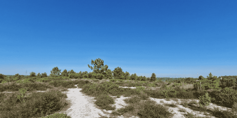 Design sem nome - 2025-09-03T115738.396