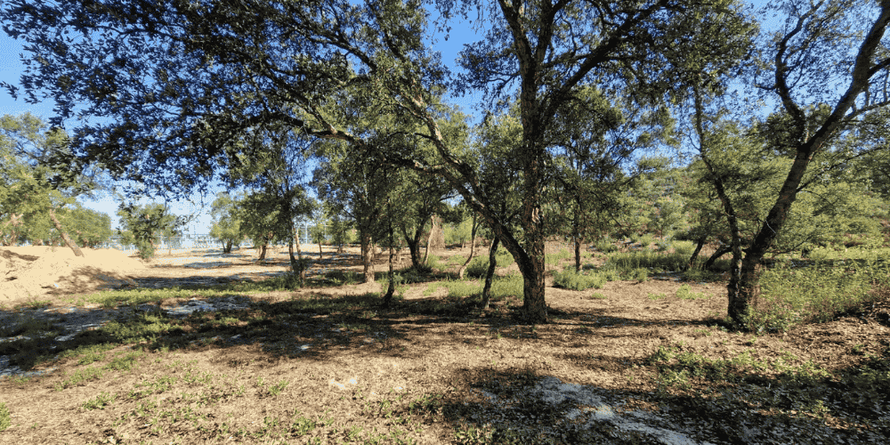 Design sem nome - 2025-09-03T115926.251