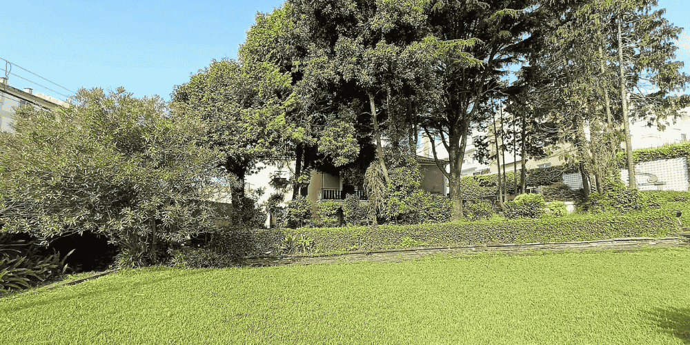 Design sem nome - 2025-09-03T133535.456