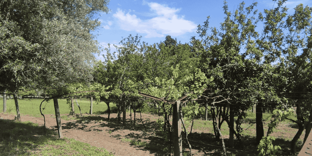 Design sem nome - 2025-09-03T211159.658