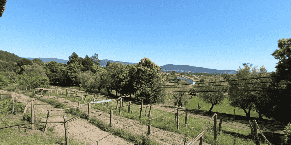 Design sem nome - 2025-09-03T211543.121