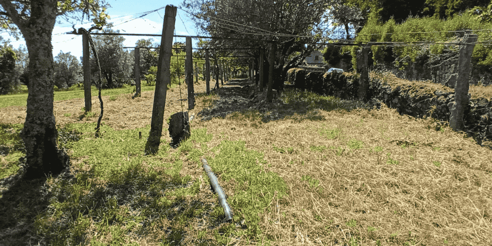 Design sem nome - 2025-09-03T211631.031