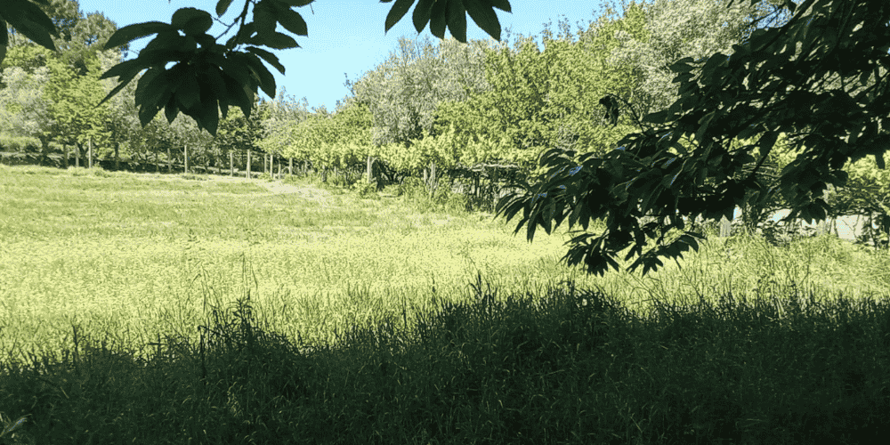 Design sem nome - 2025-09-03T213657.672