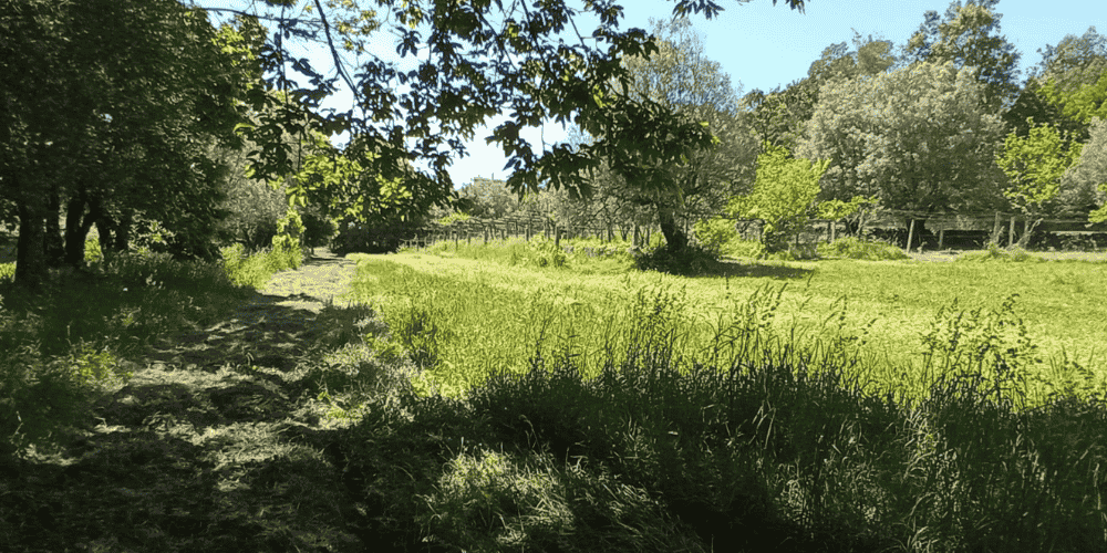 Design sem nome - 2025-09-03T213754.616