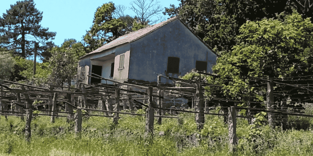 Design sem nome - 2025-09-03T213931.903