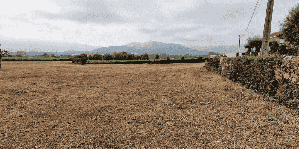 Design sem nome - 2025-09-04T113442.716