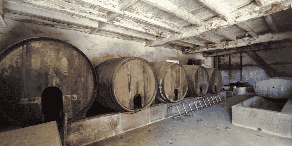 Design sem nome - 2025-09-04T113810.431