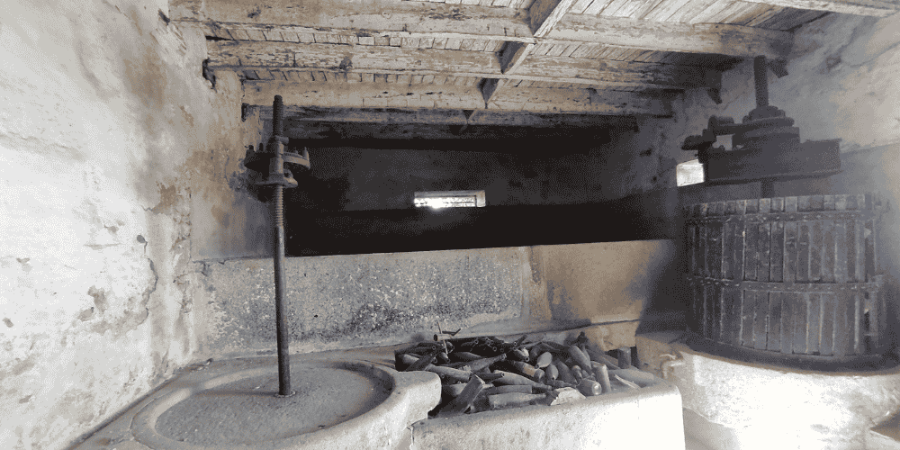 Design sem nome - 2025-09-04T113857.190