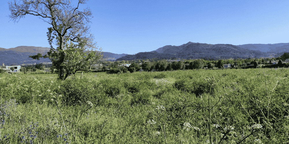 Design sem nome - 2025-09-04T114341.814