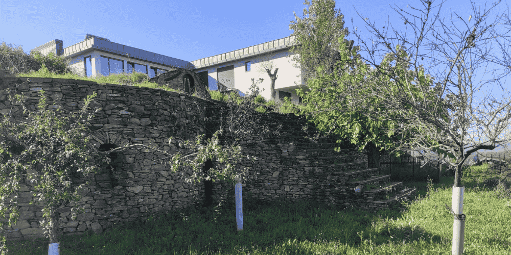 Design sem nome - 2025-09-04T152756.534