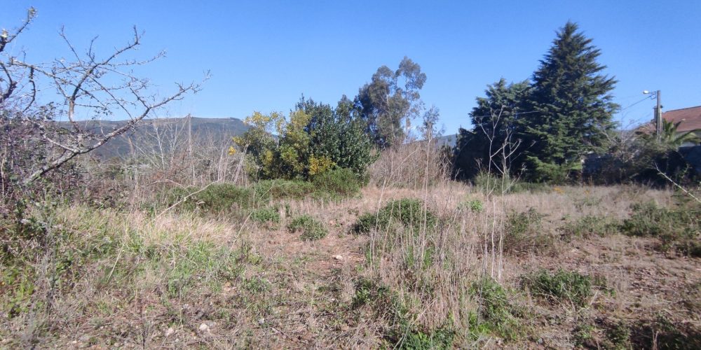 terreno-barrio-e-cepoes-66425-71738-1920w (1)