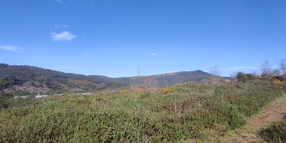 terreno-barrio-e-cepoes-66425-71738-1920w (2)