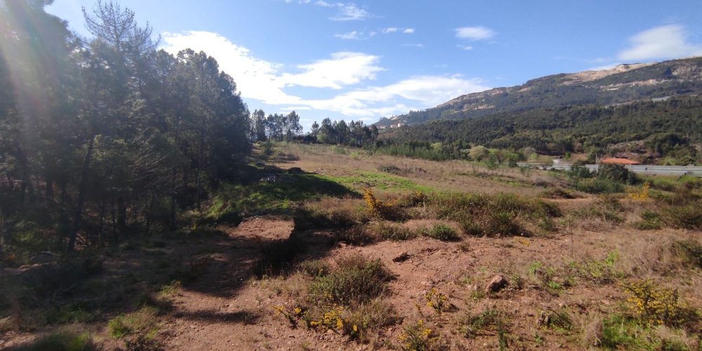 terreno-barrio-e-cepoes-66425-71738-1920w (3)