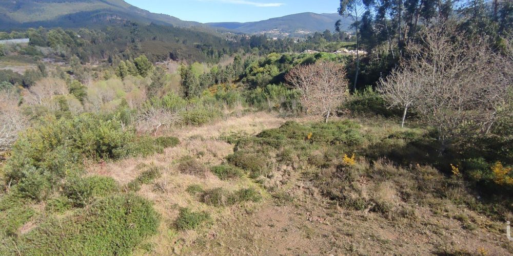 terreno-barrio-e-cepoes-66425-71738-1920w (5)